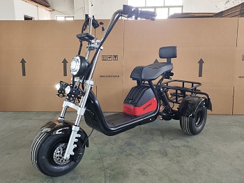 Электроскутер Трицикл Shtenli Model 104