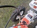Мотоблок PROFI MOTORS (8,5 л.с.) ПОНИЖЕННАЯ ПЕРЕДАЧА