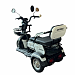 Электрический трицикл SHTENLI Model 31 SLA 20Ач60